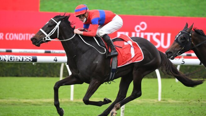 Warwick Farm Tips & Preview | Wednesday 23 October