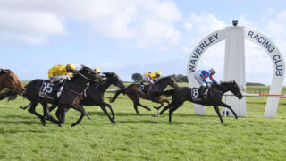 Waverley Tips & Preview