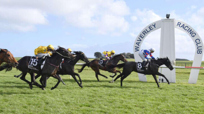 Waverley Tips & Preview | Saturday 9 May
