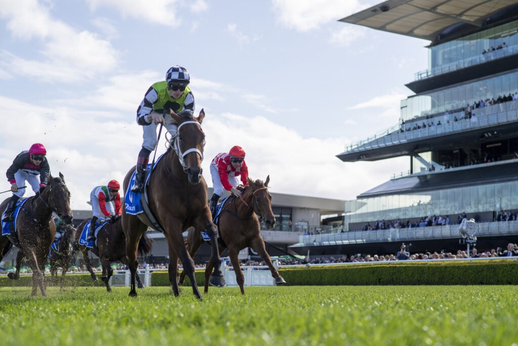 2022 Flight Stakes winning filly Zougotcha at Randwick in Sydney