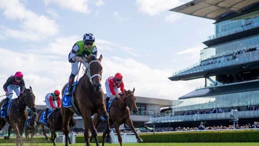 Premiere Stakes Preview