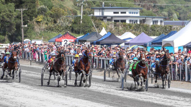 Kaikōura Harness Tips & Preview | Monday 3 November