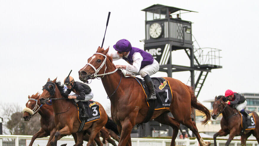 Blue Diamond Stakes Day Preview