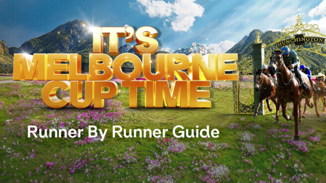 Runner-By-Runner Guide | 2024 Melbourne Cup