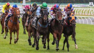 Horses running in the 2021 New Zealand Cup race at Riccarton Park