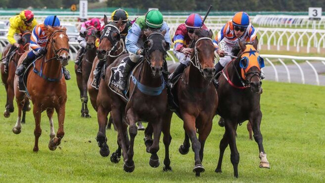 Riccarton Park Tips & Preview | Saturday 2 May