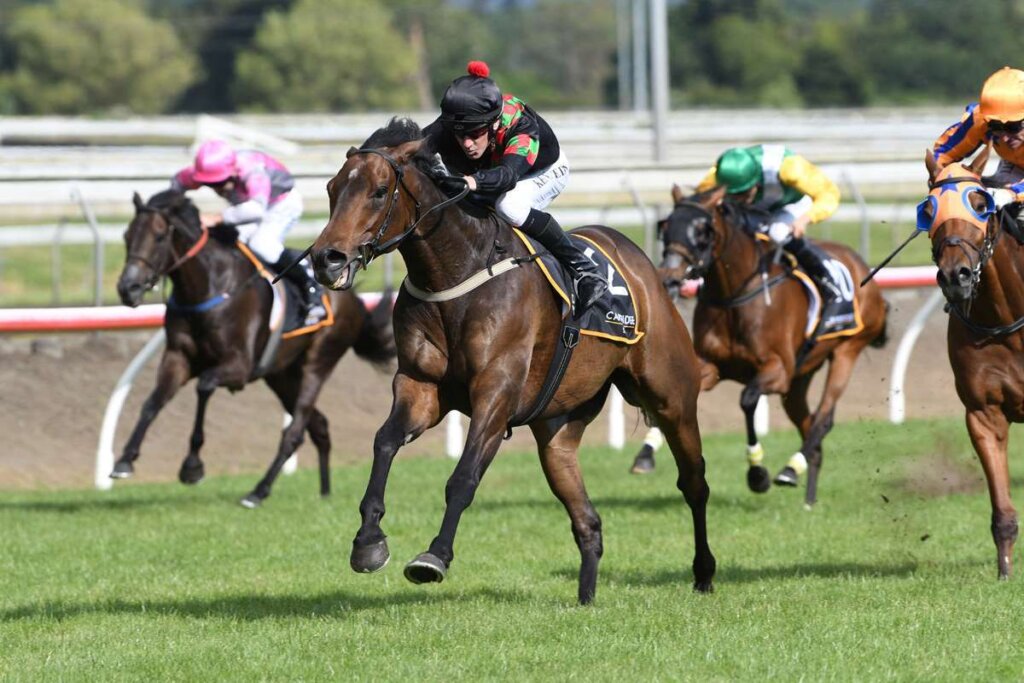 2022 Zabeel Classic winner Defibrillate