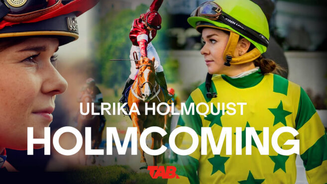 Holmcoming | Ulrika Holmquist