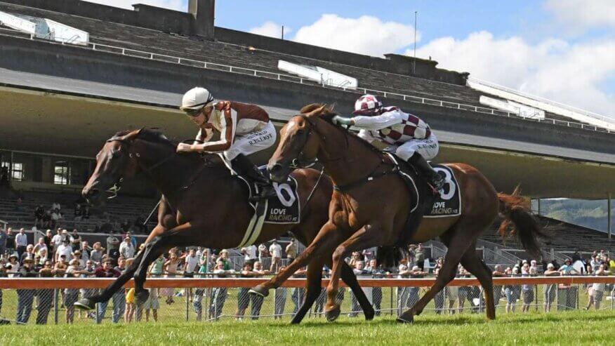 New Zealand Oaks Preview