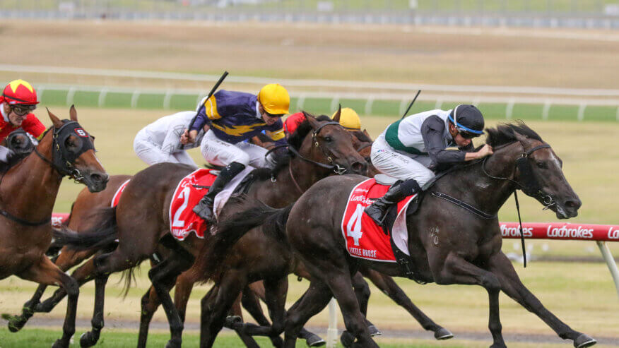 Blue Diamond Stakes Betting