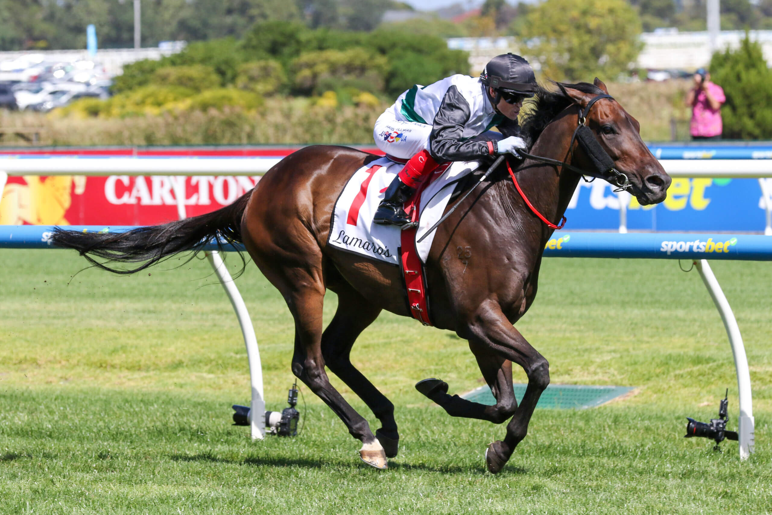 2024 Futurity Stakes winner Mr Brightside winning at Caulfield on Blue Diamond Day