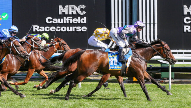 Geelong Tips & Preview | Wednesday 3 December