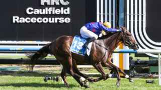 Queman winning the 2024 Oakleigh Plate at Caulfield in Melbourne