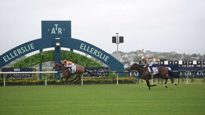 Ellerslie Tips & Preview | Saturday 23 May