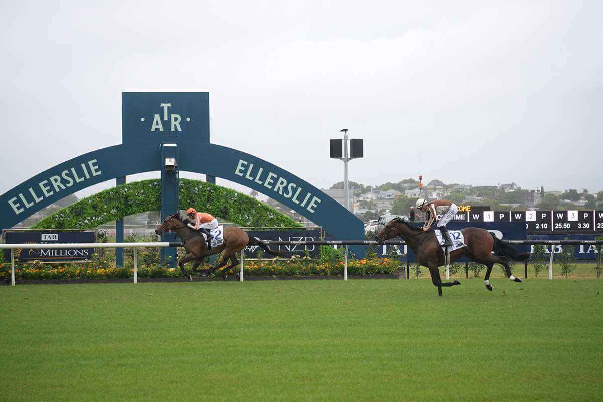 Ellerslie Tips & Preview | Saturday 21 February - TAB NZ Punters Lounge