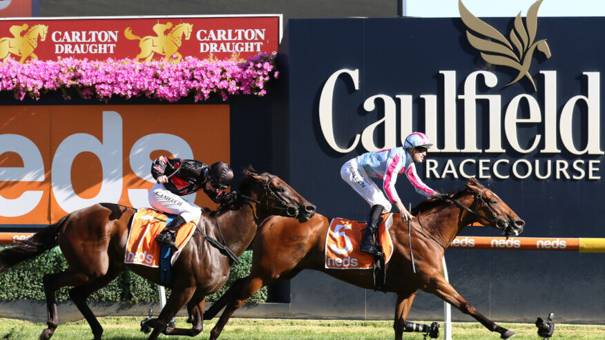 Futurity Stakes Preview
