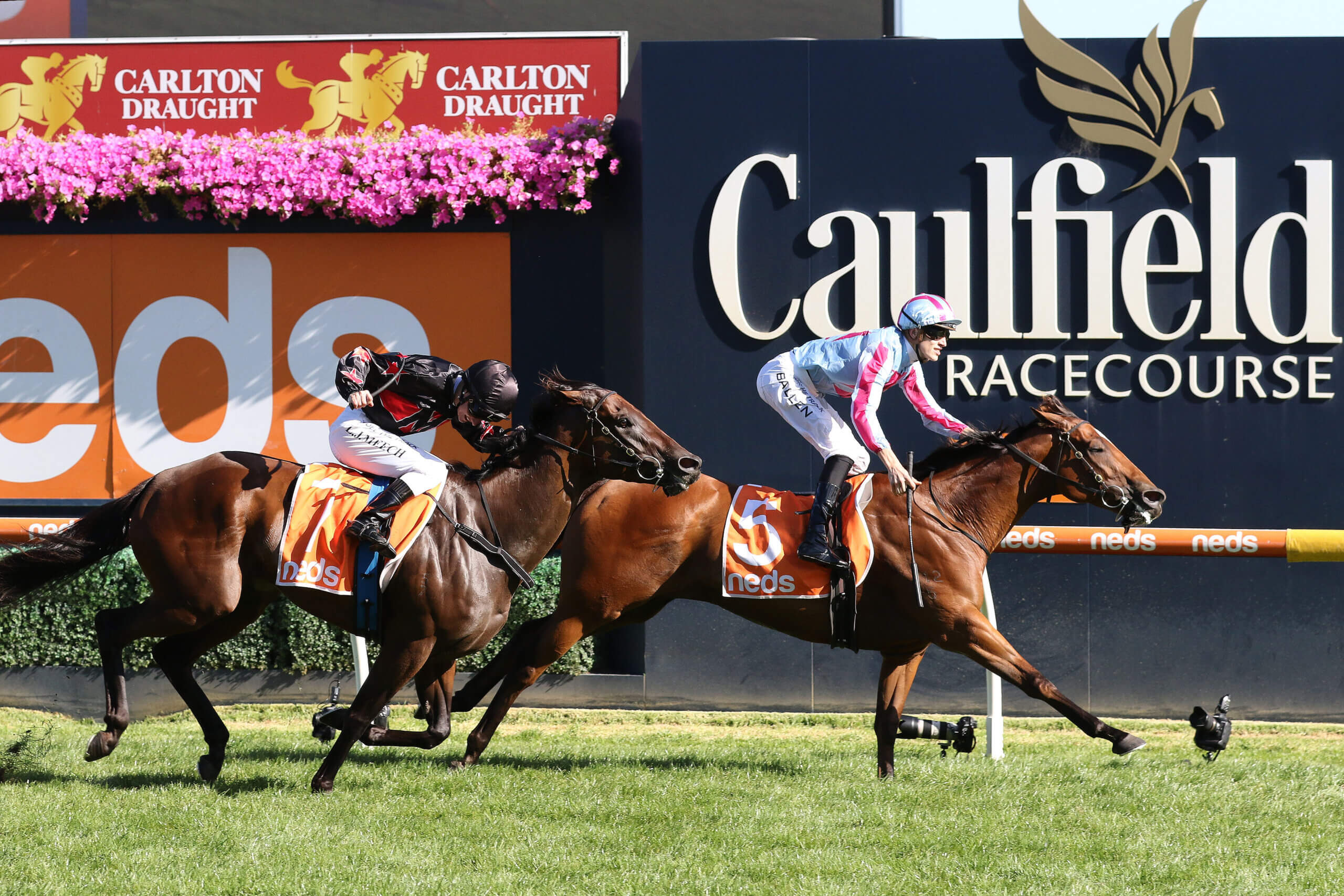 2022 Oakleigh Plate winning mare Marabi at Caulfield