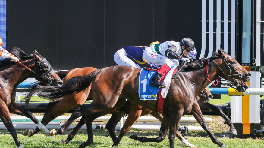 2025 CF Orr Stakes Betting