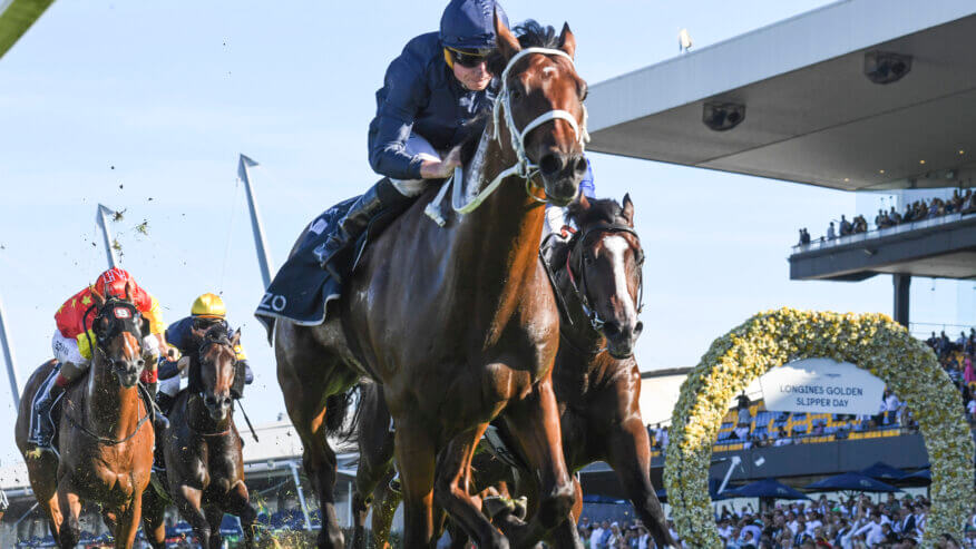 Coolmore Classic Preview