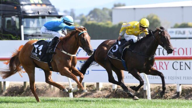 Te Rapa Tips & Preview | Saturday 30 May