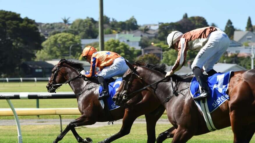 Railway Stakes Betting