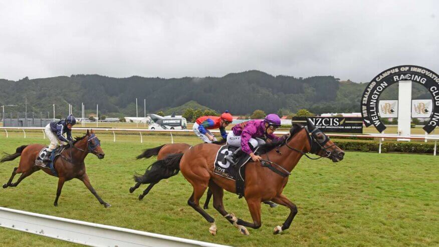 Thorndon Mile Preview