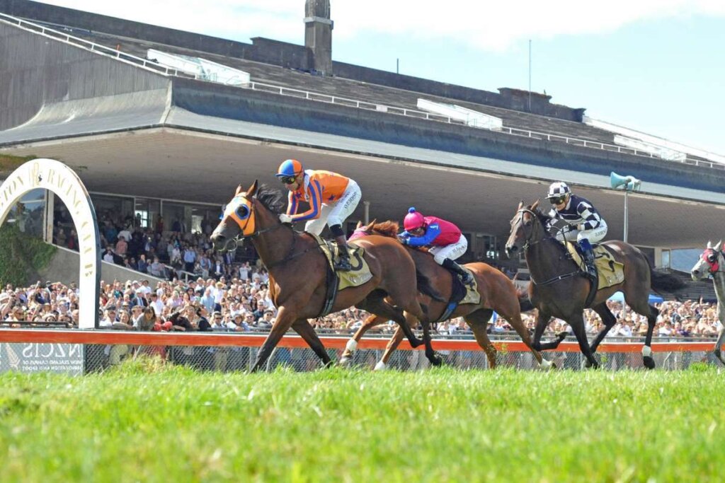 2021 Thorndon Mile winning mare Melody Belle