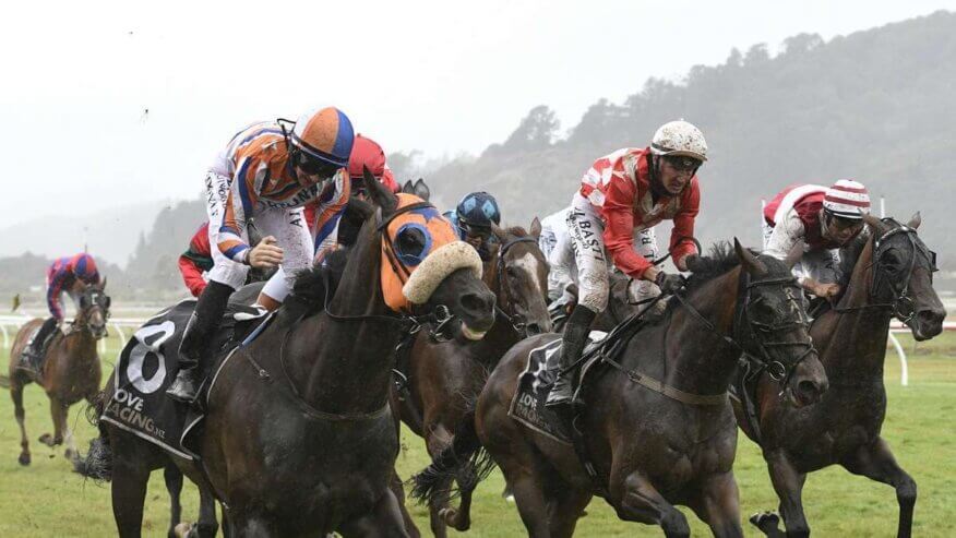 Mufhasa TAB Classic Betting