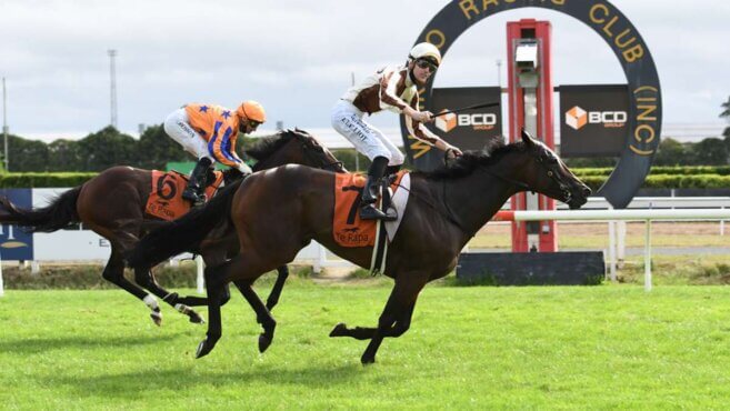 Te Rapa Tips & Preview | Friday 30 January