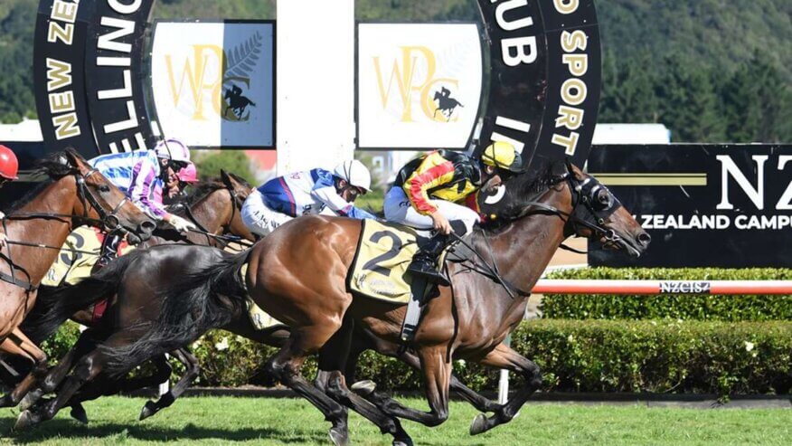 Wellington Cup Betting