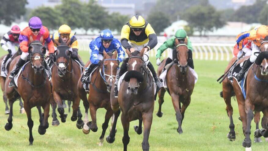 Mufhasa TAB Classic Preview