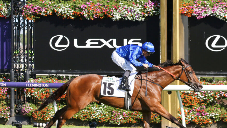 Newmarket Handicap Betting