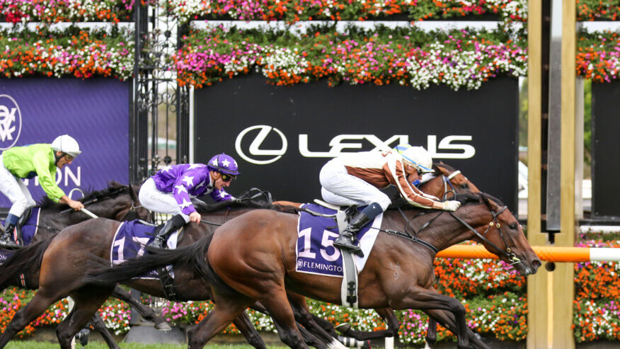Australian Guineas Betting