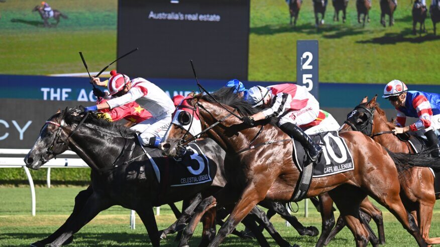 Randwick Guineas Betting