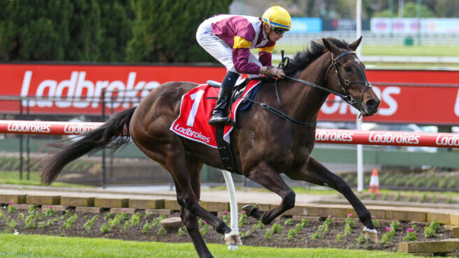 2025 Sandown Stakes Day Tips & Preview