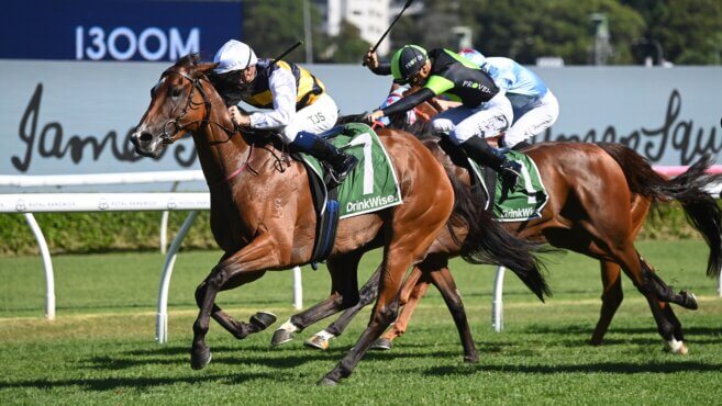 Warwick Farm Tips & Preview | Wednesday, September 24