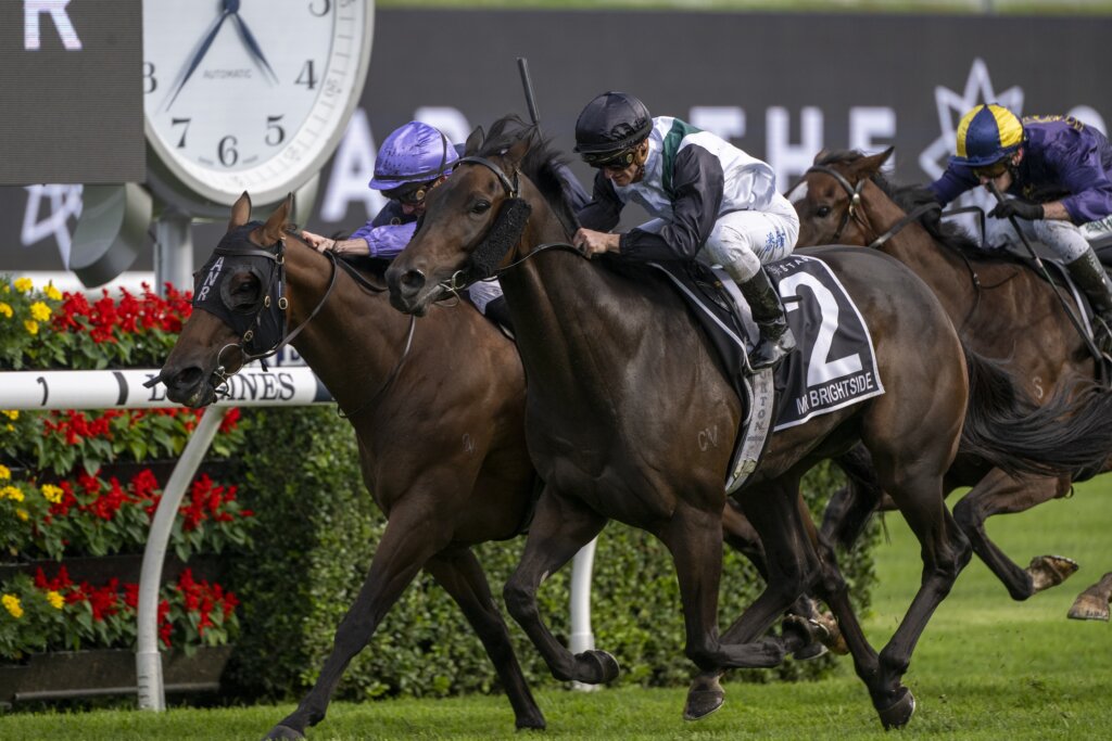 Mr Brightside winning the Doncaster Mile for a second time in 2023 at Randwick