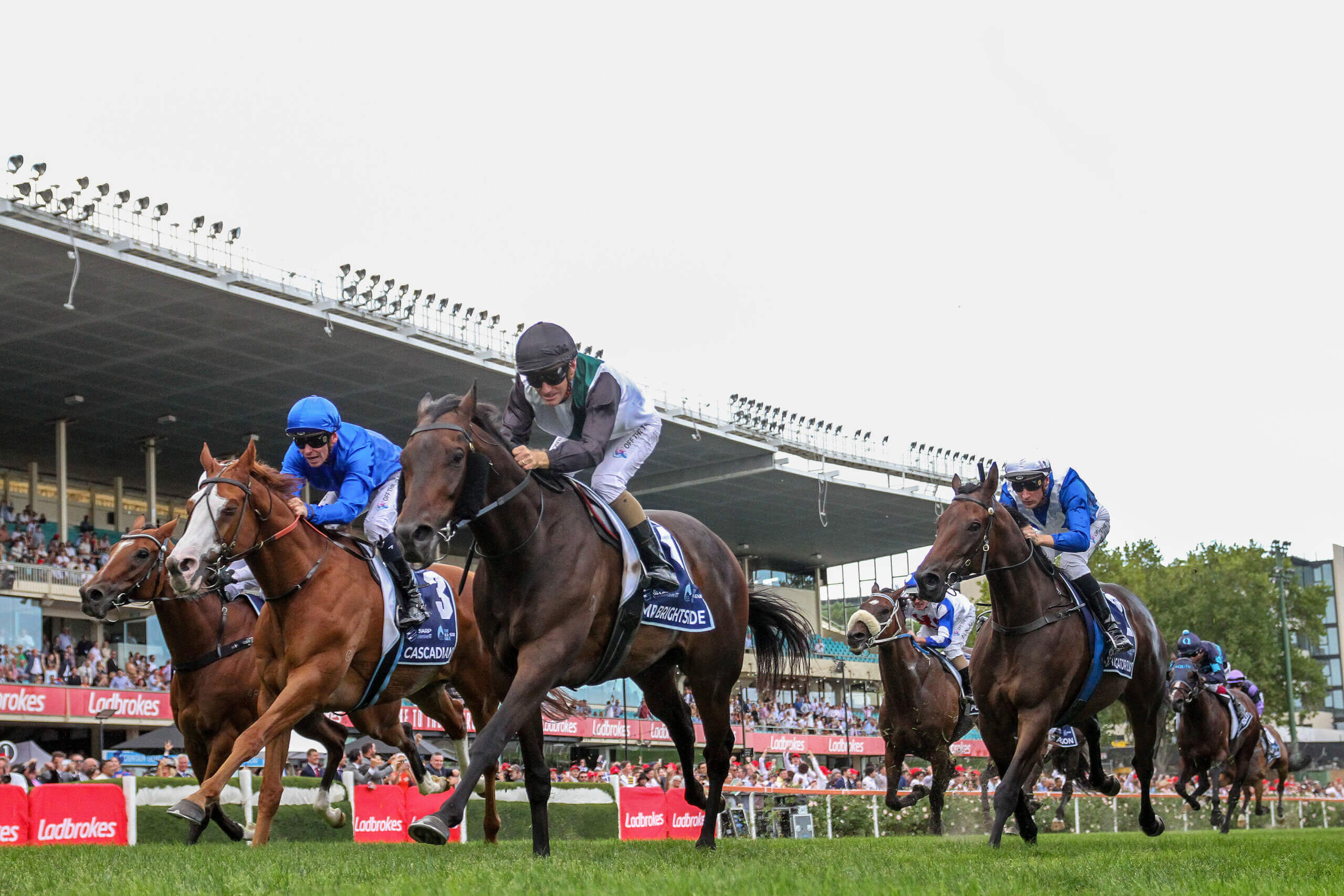 Mr Brightside winning the 2023 The All-Star Mile at Moonee Valley