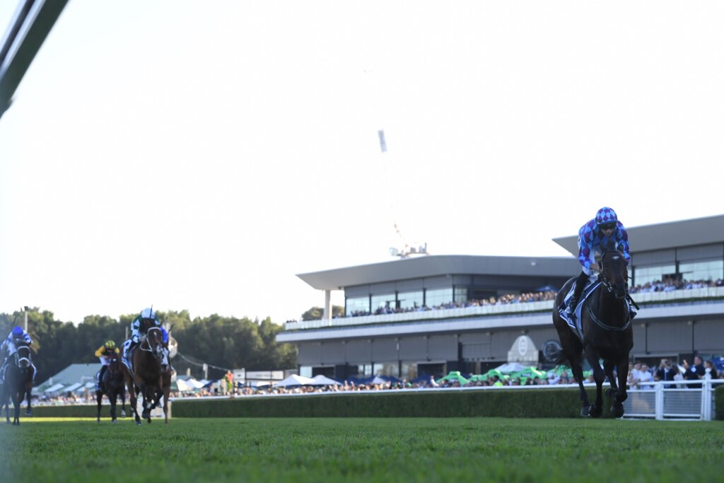 Pride Of Jenni winning the 2024 Queen Elizabeth Stakes at Randwick by 6.5 lengths