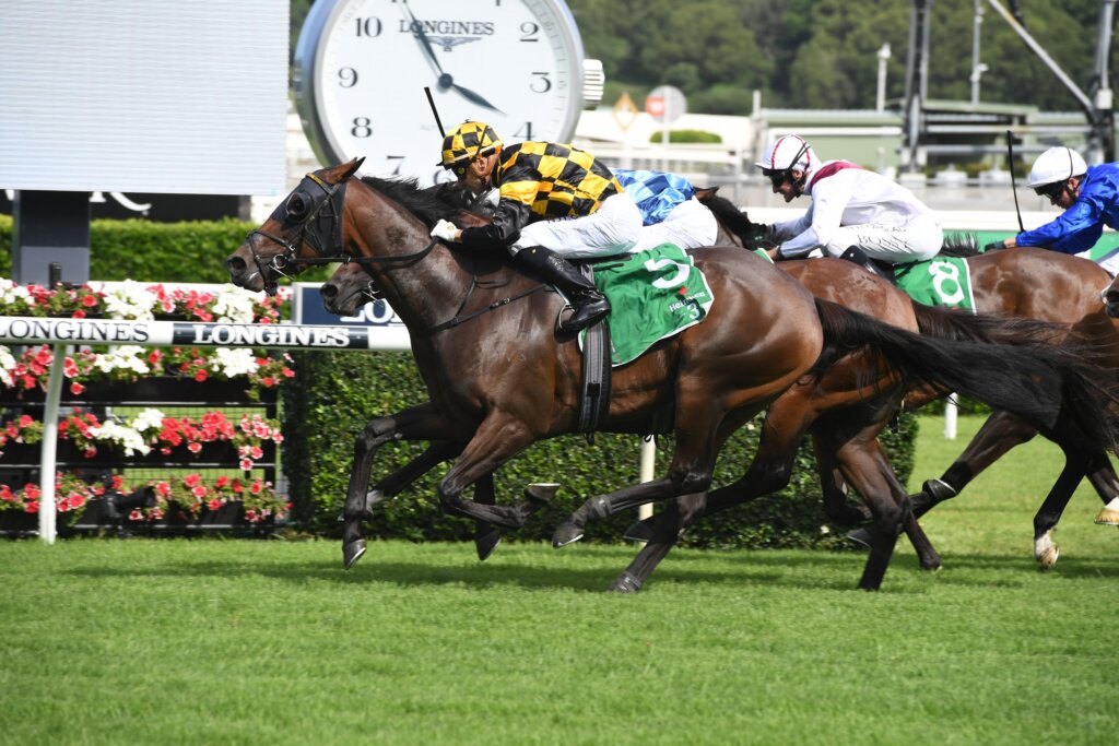 New Zealand's Probabeel winning the 2020 Surround Stakes in Sydney