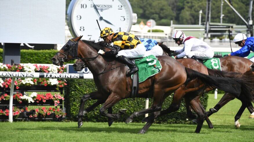 Surround Stakes Preview