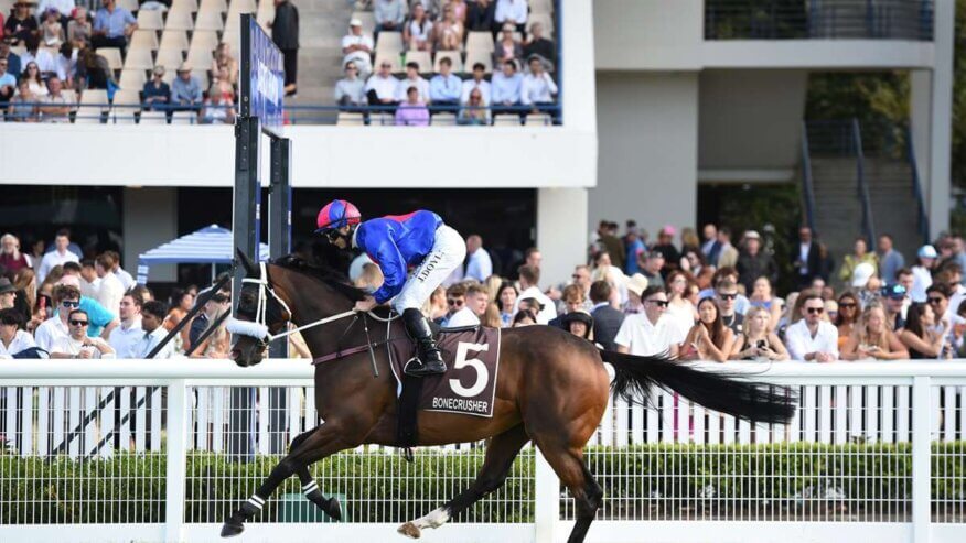 Bonecrusher NZ Stakes Betting