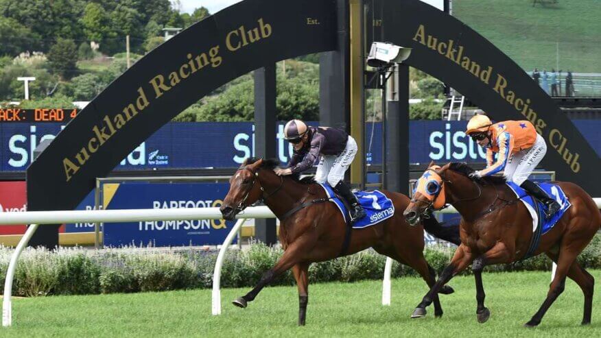 Sistema Stakes Betting