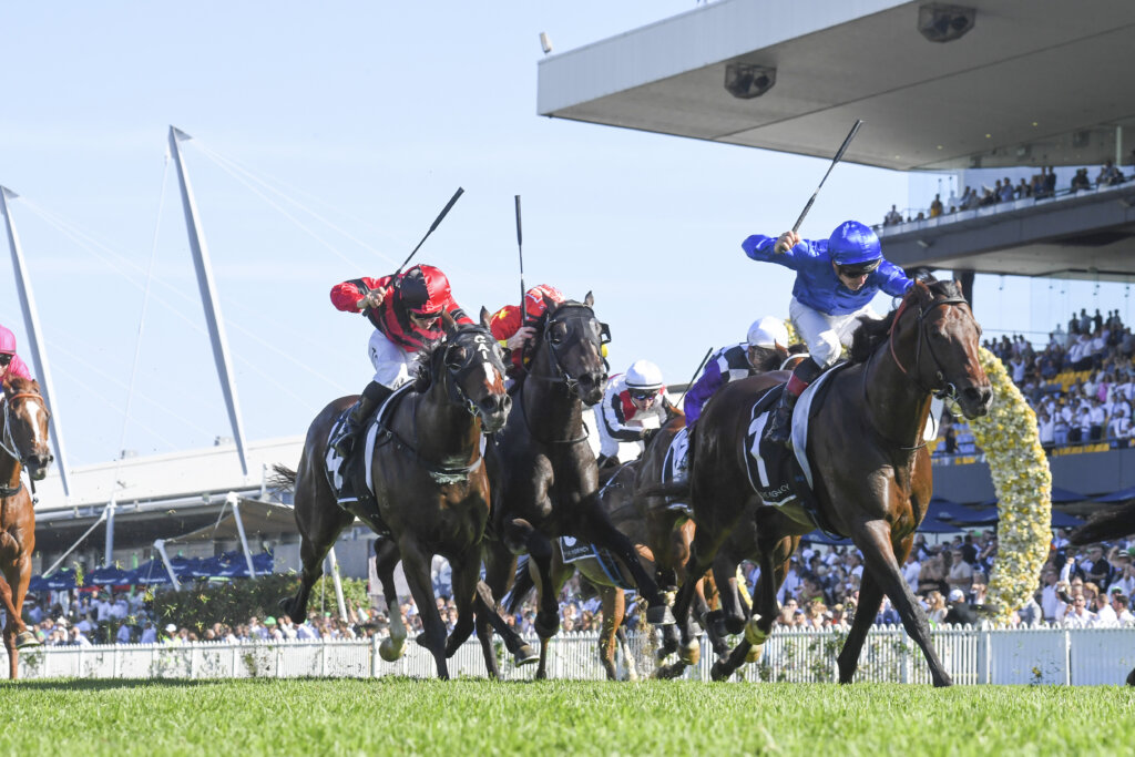 2023 George Ryder Stakes winner Anamoe