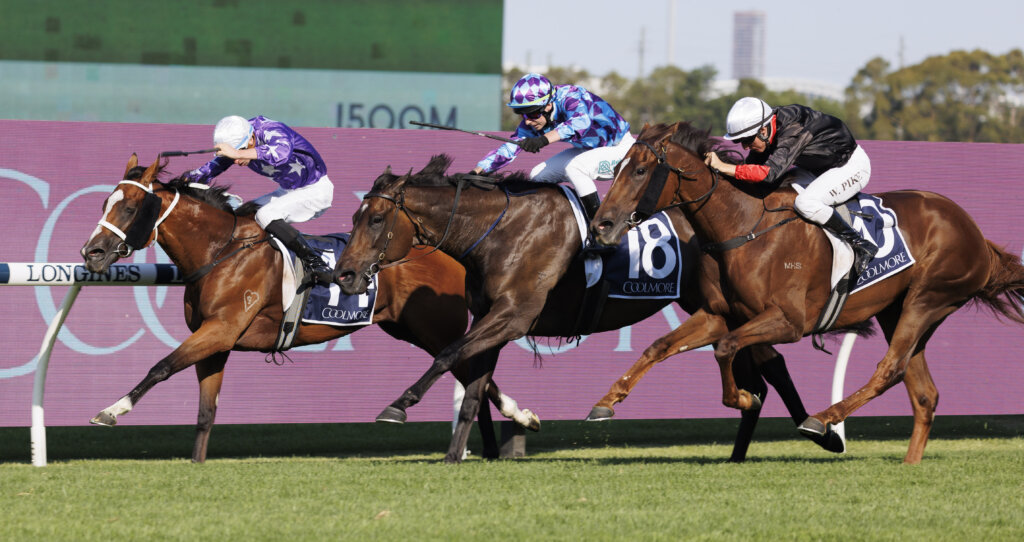 Espiona winning the 2023 Coolmore Classic at Rosehill in Sydney