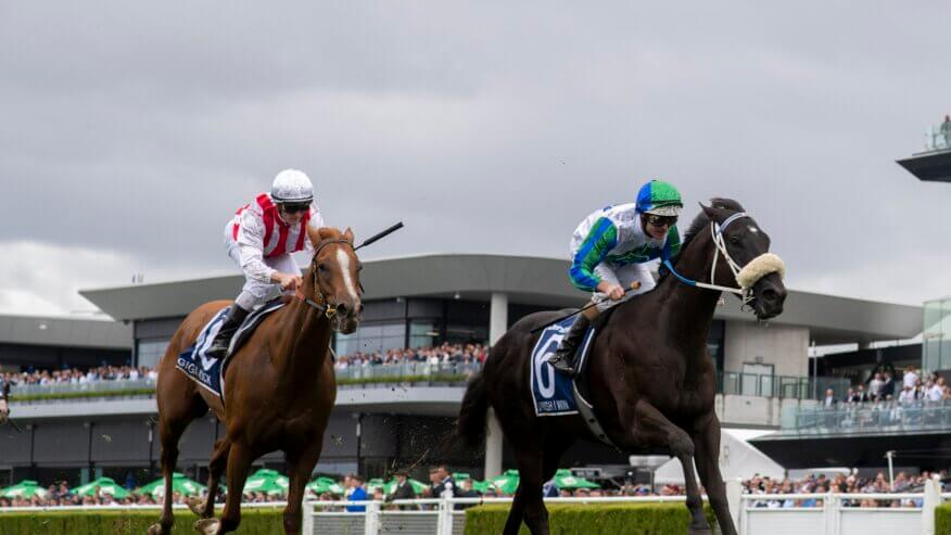 TJ Smith Stakes Preview
