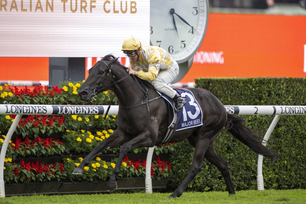 2023 Australian Derby winner Major Beel