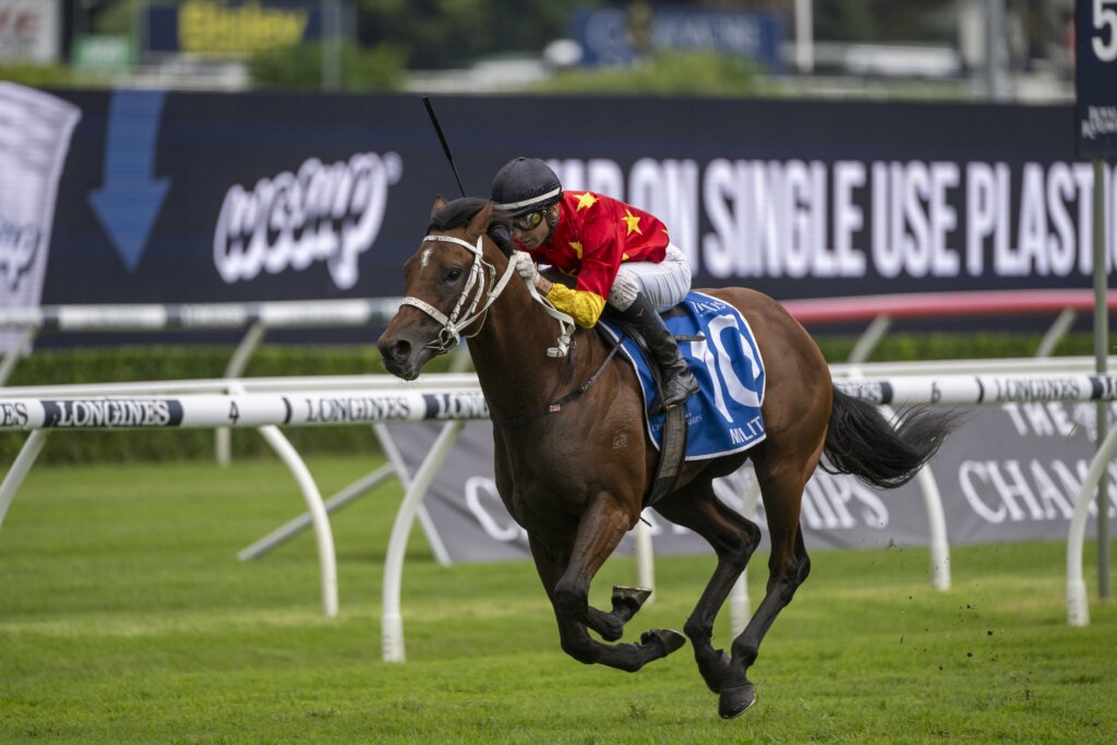 Militarize winning the 2023 Inglis Sires' at Randwick