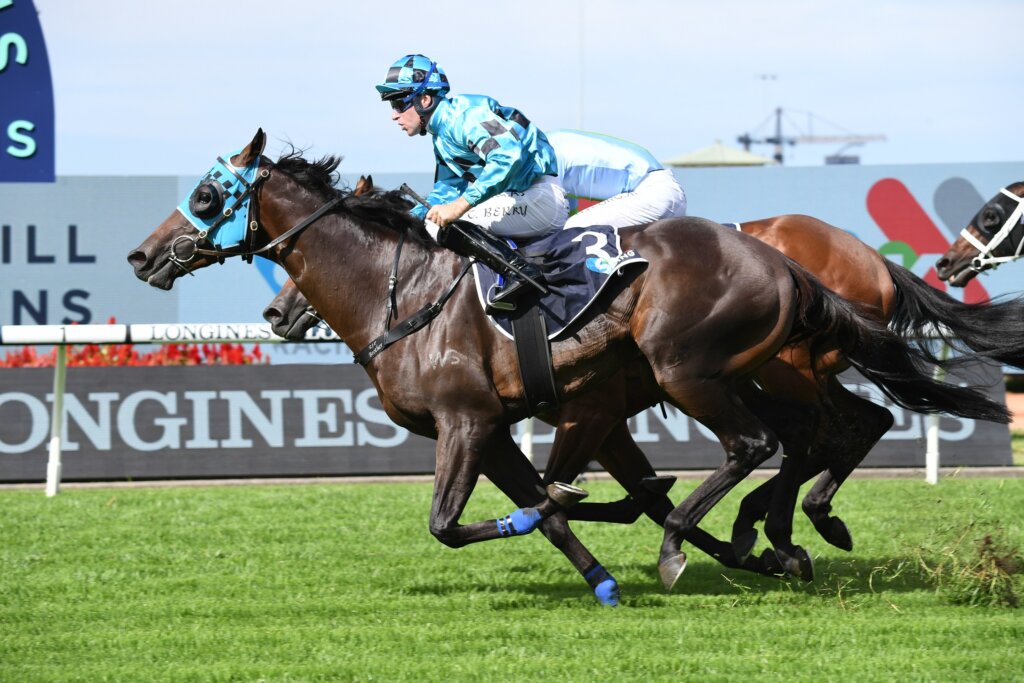 Mo'unga winning the 2021 Rosehill Guineas