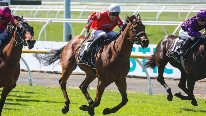 Ballarat Tips & Preview | Wednesday 24 June